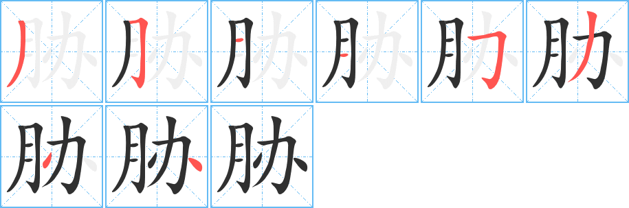 胁的笔顺分步演示图