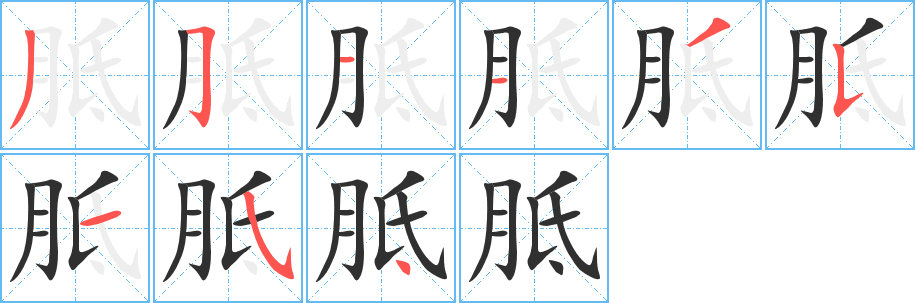 胝的笔顺分步演示图