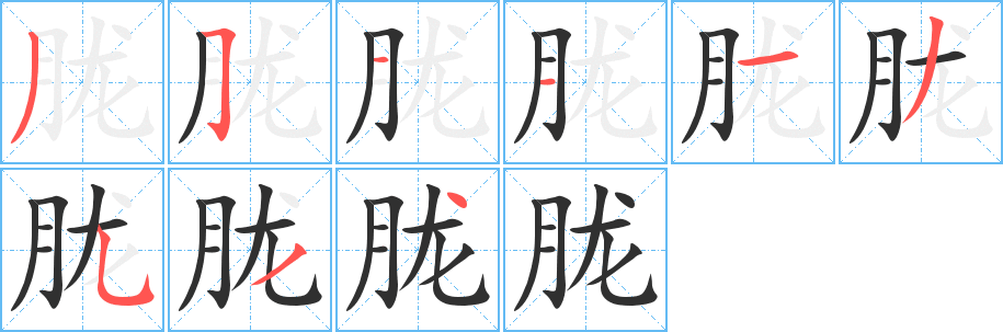 胧的笔顺分步演示图