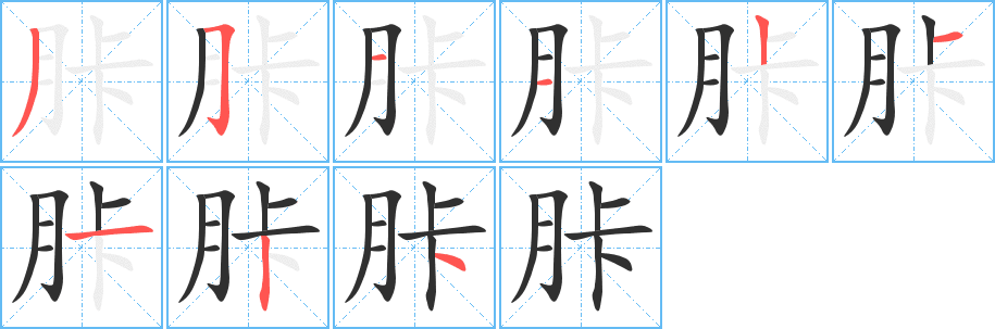 胩的笔顺分步演示图