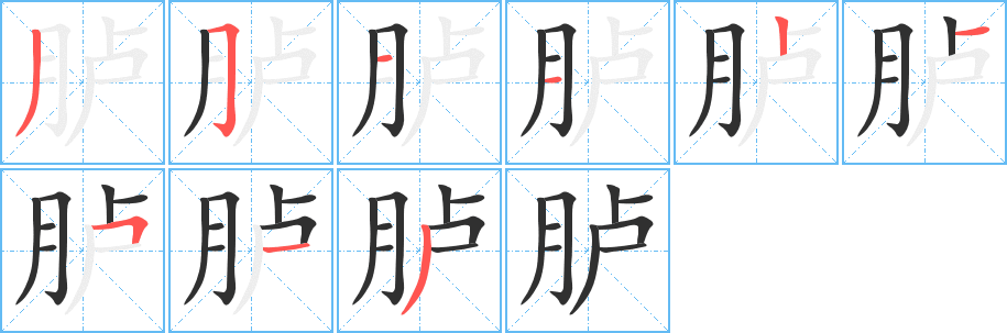 胪的笔顺分步演示图