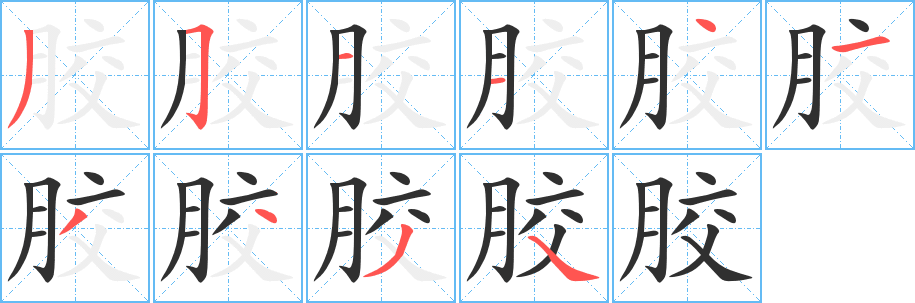 胶的笔顺分步演示图