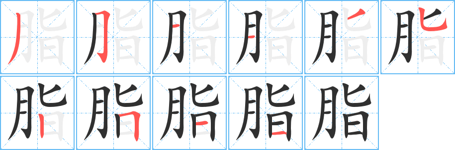 脂的笔顺分步演示图