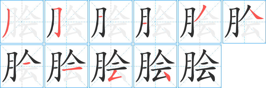 脍的笔顺分步演示图