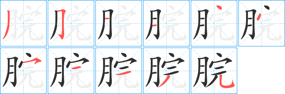 脘的笔顺分步演示图