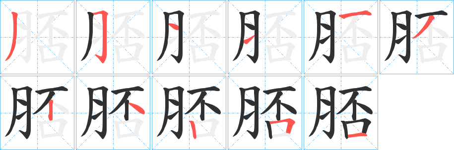 脴的笔顺分步演示图