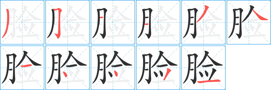 脸的笔顺分步演示图