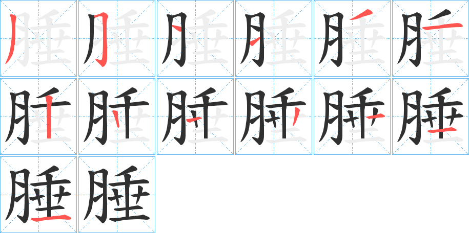 腄的笔顺分步演示图