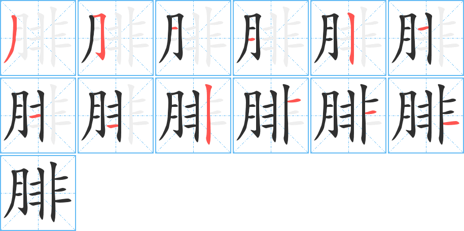 腓的笔顺分步演示图