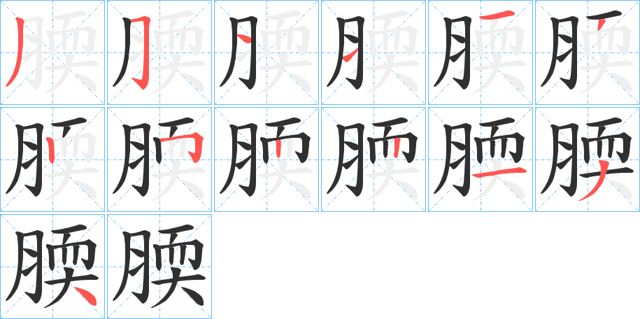 腝的笔顺分步演示图