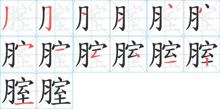 腟的笔顺分步演示图