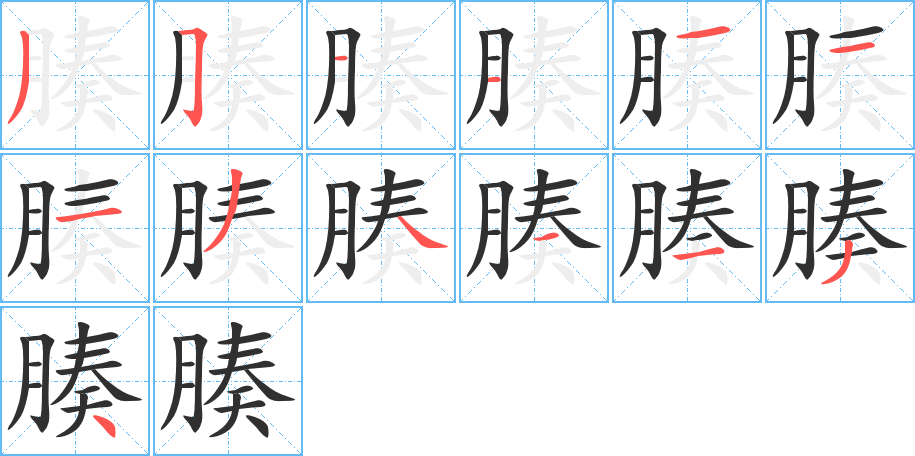 腠的笔顺分步演示图