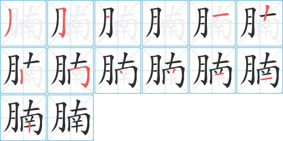 腩的笔顺分步演示图