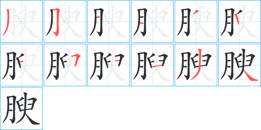 腴的笔顺分步演示图