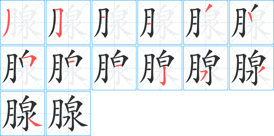 腺的笔顺分步演示图