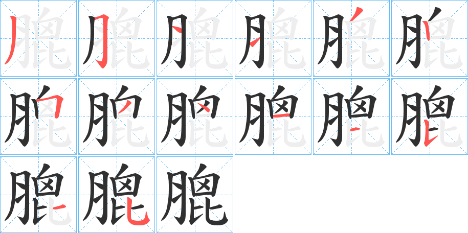 膍的笔顺分步演示图