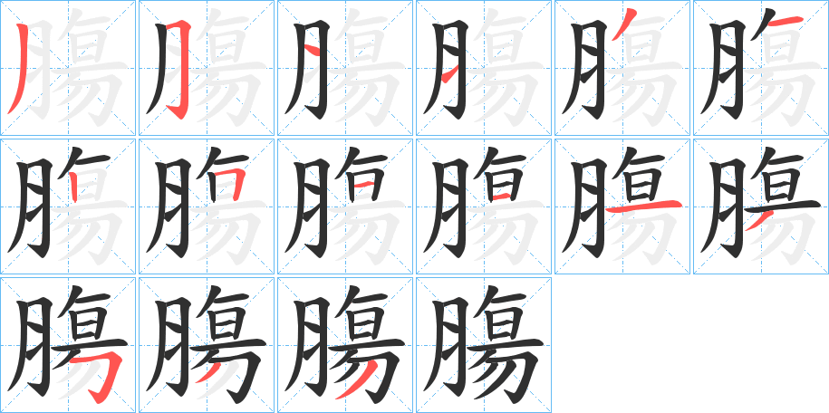 膓的笔顺分步演示图