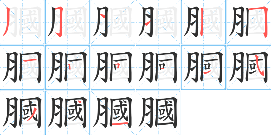 膕的笔顺分步演示图