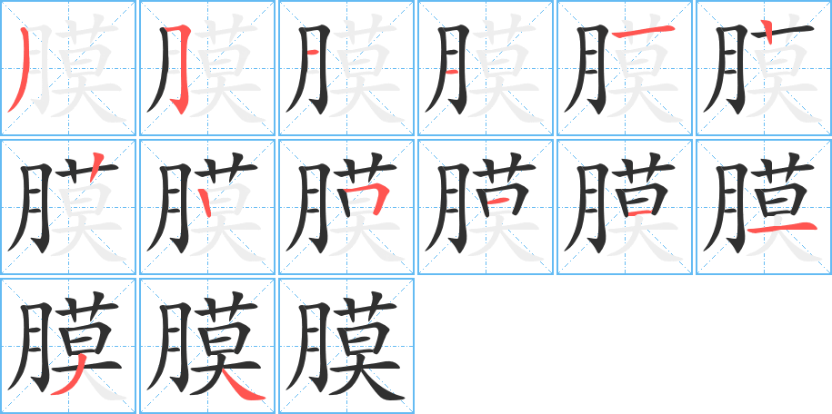 膜的笔顺分步演示图