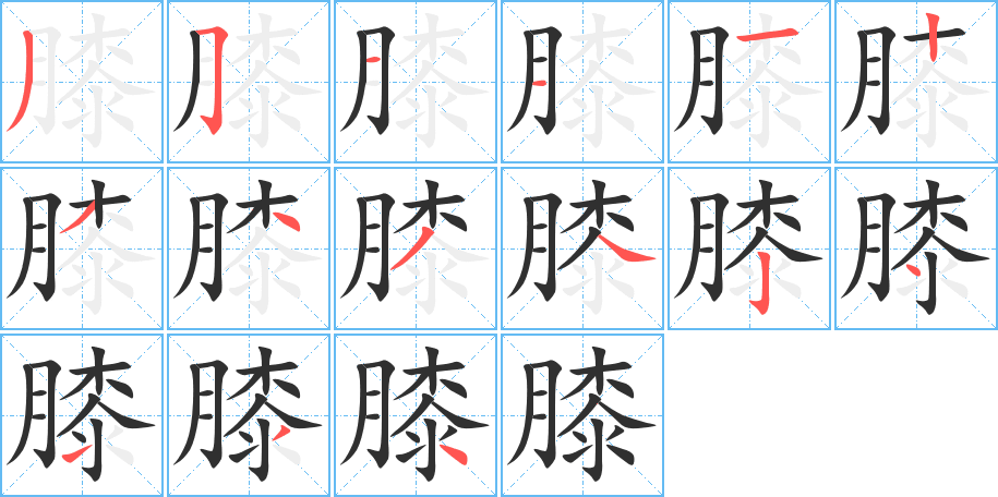 膝的笔顺分步演示图