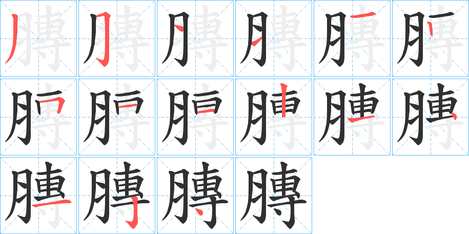 膞的笔顺分步演示图