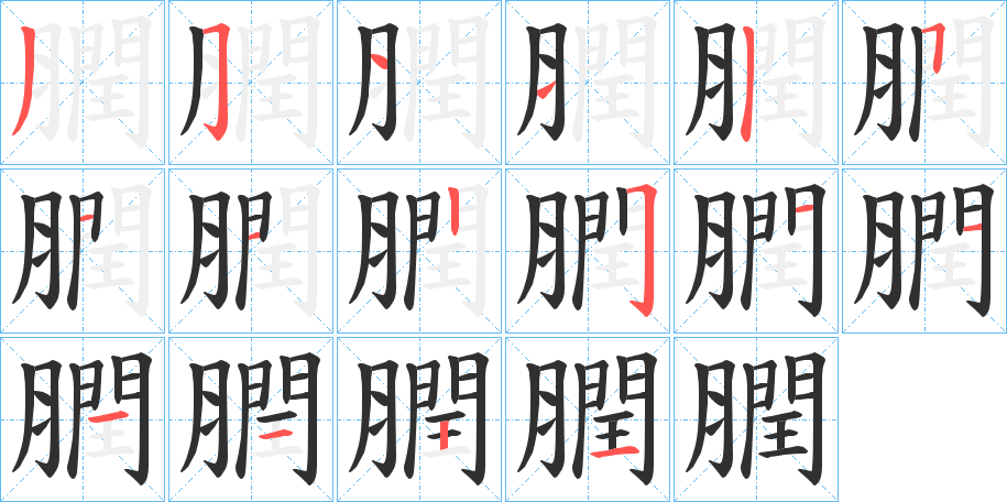 膶的笔顺分步演示图