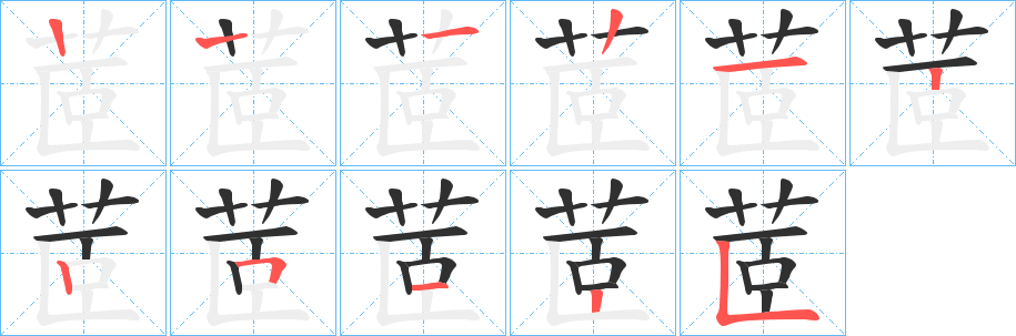 茝的笔顺分步演示图