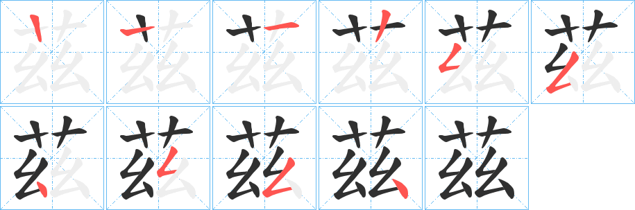 茲的笔顺分步演示图