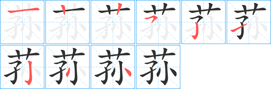 荪的笔顺分步演示图