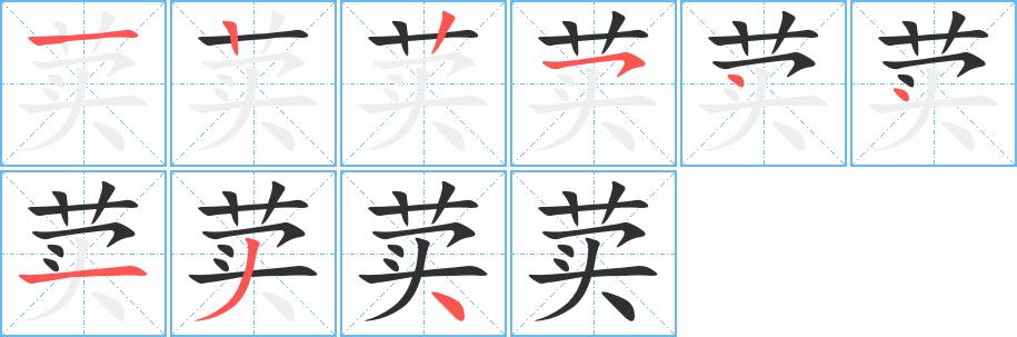 荬的笔顺分步演示图