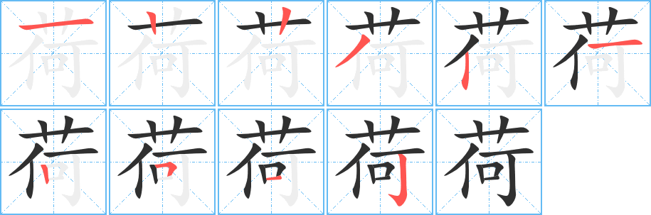 荷的笔顺分步演示图