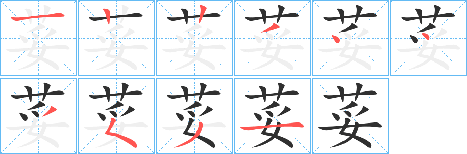 荽的笔顺分步演示图