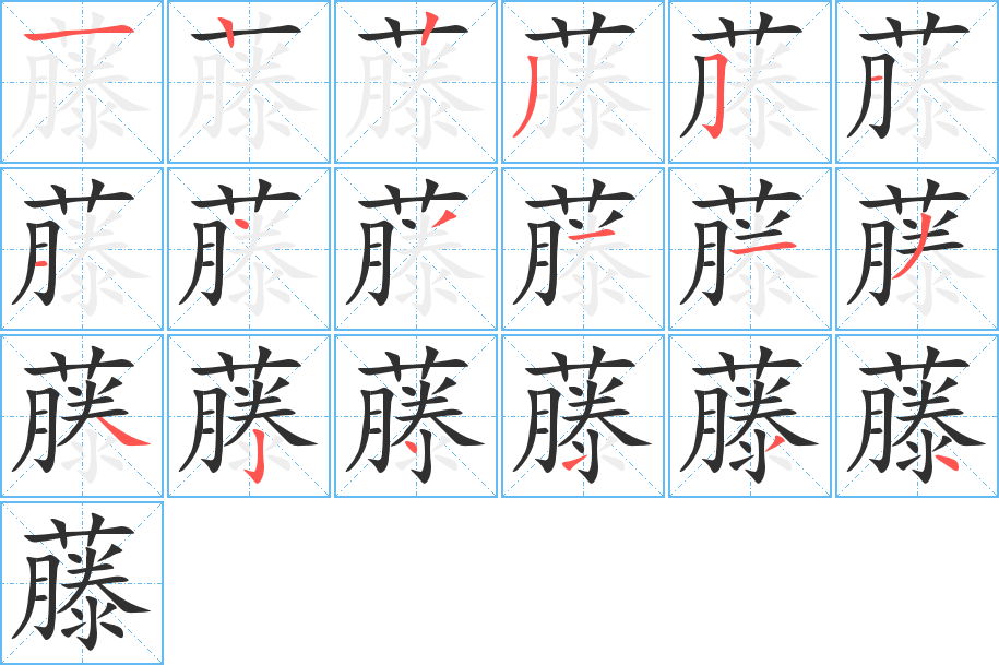 藤的笔顺分步演示图