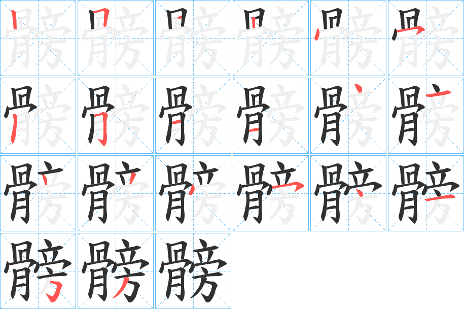 髈的笔顺分步演示图