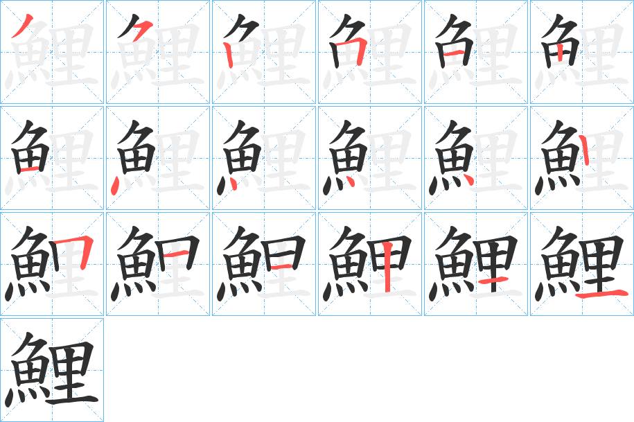 鯉的笔顺分步演示图