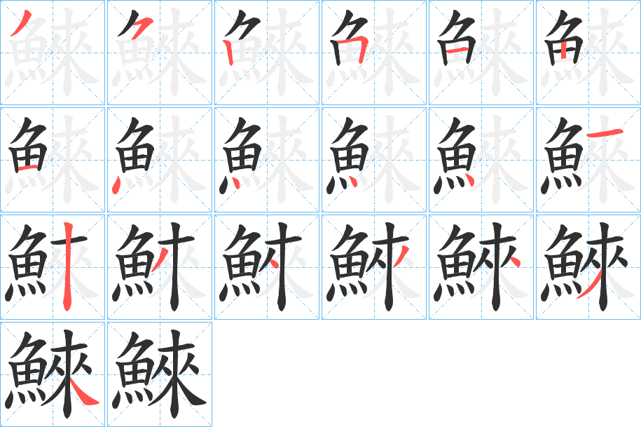 鯠的笔顺分步演示图