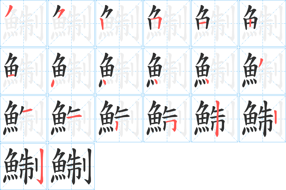 鯯的笔顺分步演示图