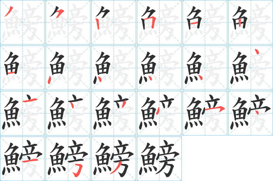 鰟的笔顺分步演示图