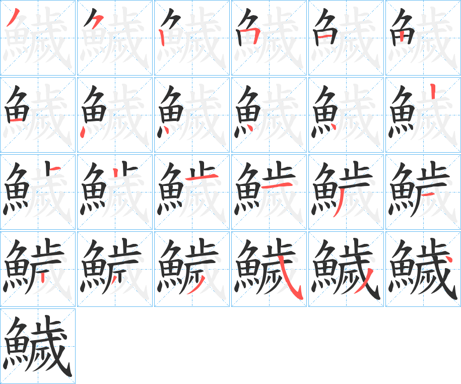 鱥的笔顺分步演示图