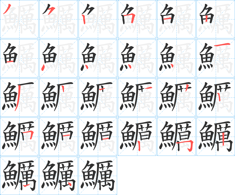 鱱的笔顺分步演示图