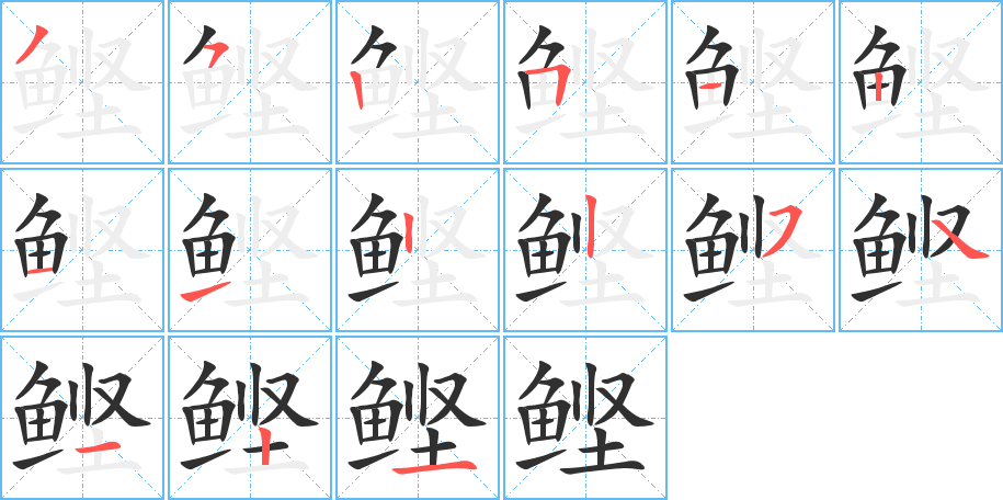 鲣的笔顺分步演示图