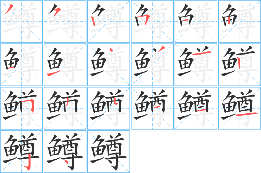 鳟的笔顺分步演示图