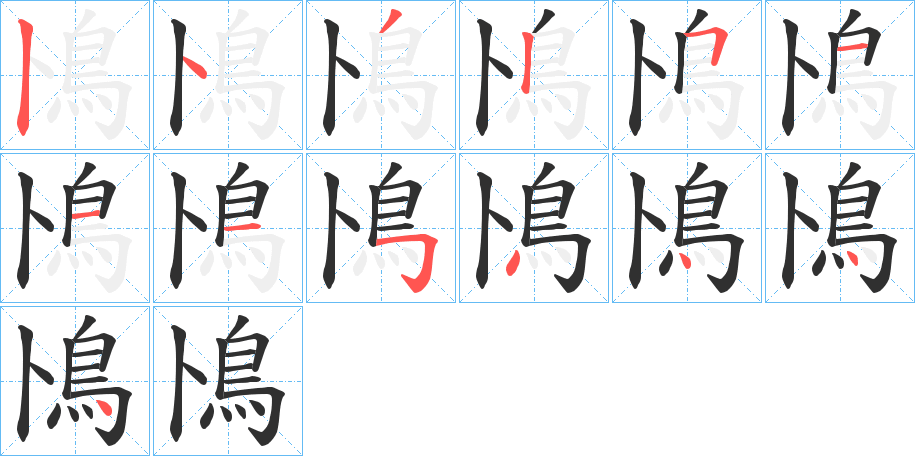 鳪的笔顺分步演示图