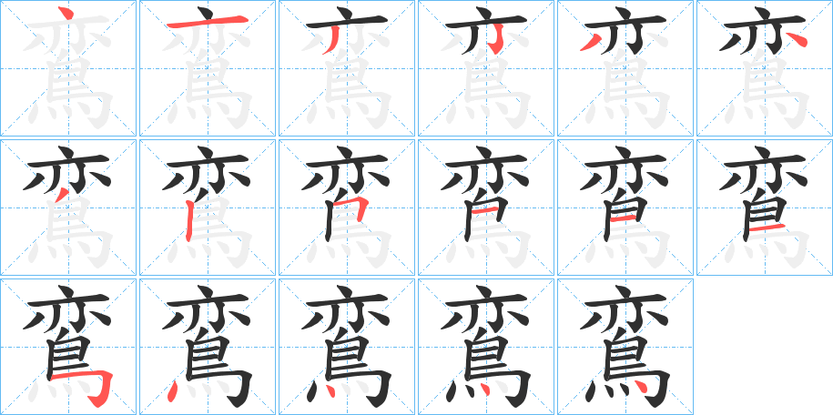 鵉的笔顺分步演示图