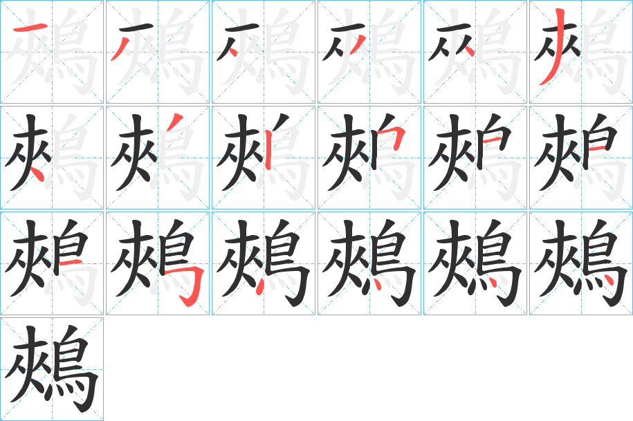 鵊的笔顺分步演示图