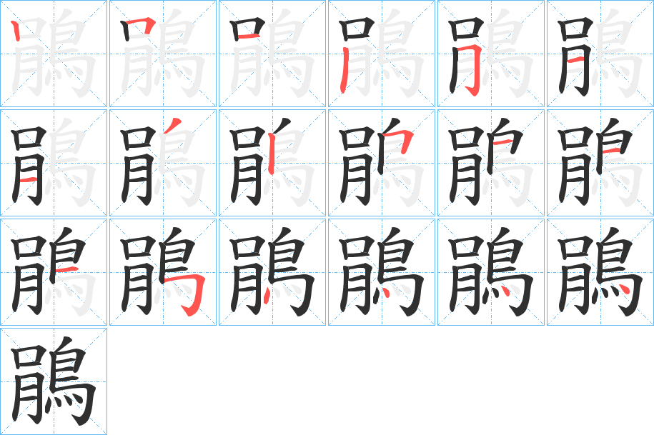 鵑的笔顺分步演示图