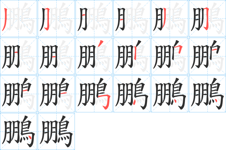 鵬的笔顺分步演示图