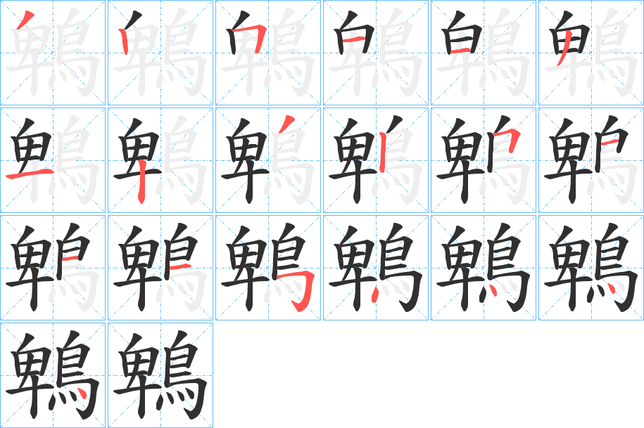 鵯的笔顺分步演示图