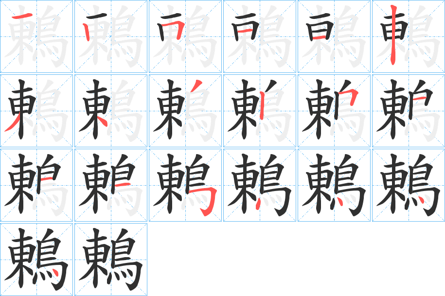 鶇的笔顺分步演示图