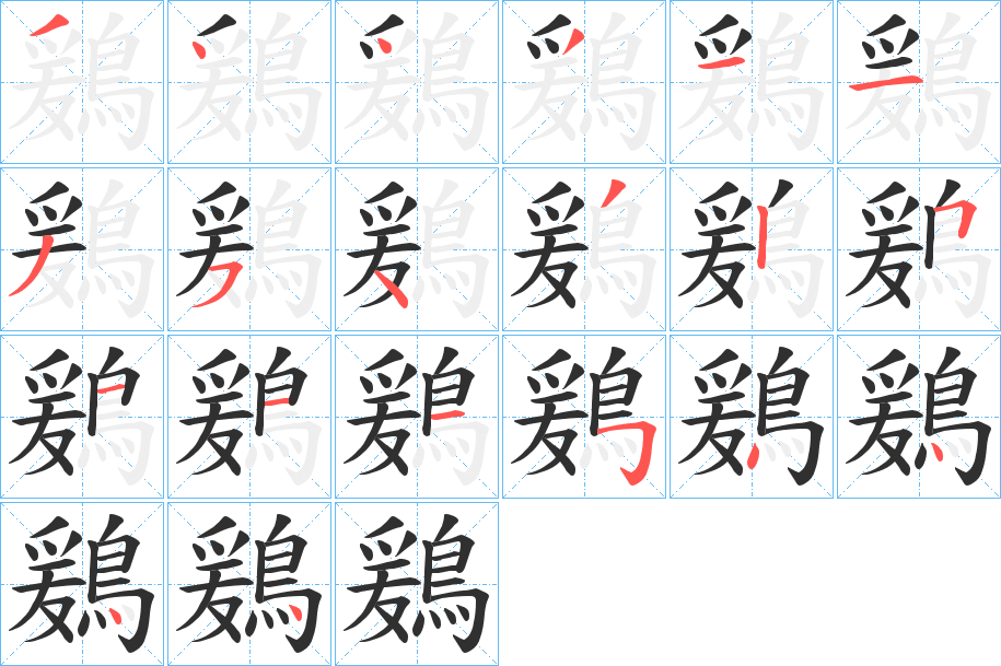 鶢的笔顺分步演示图